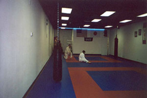 The Dojo